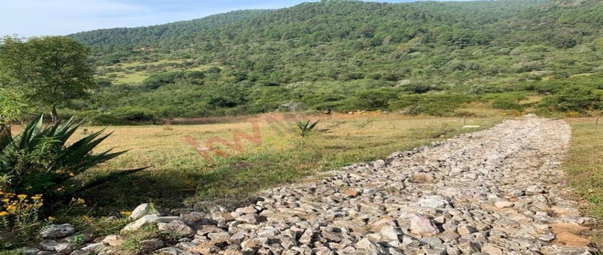 Foto de terreno habitacional en venta en camino rincón de los pastores , tapalpa, tapalpa, jalisco, 0 No. 03