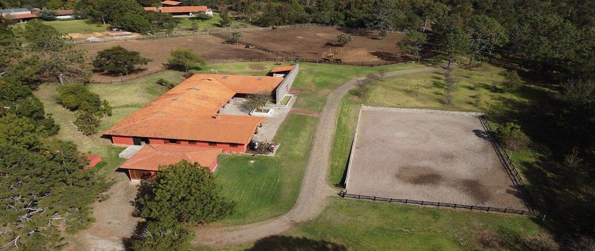 Foto de terreno habitacional en camino rincón de los pastores , tapalpa, tapalpa, jalisco, 0 foto 01 Foto de terreno habitacional en venta en camino rincón de los pastores , tapalpa, tapalpa, jalisco, 0 No. 01
