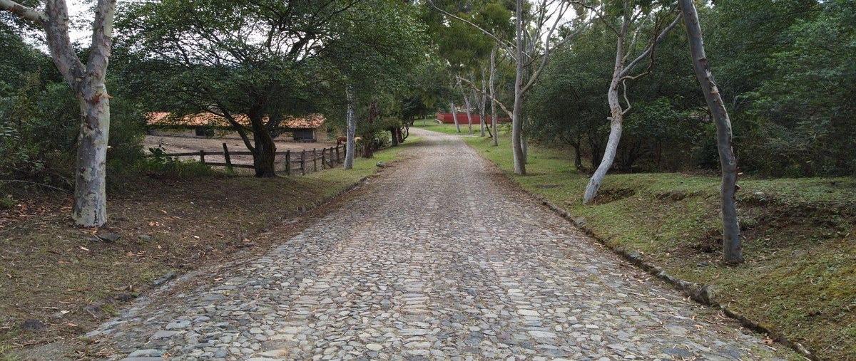 Foto de terreno habitacional en camino rincón de los pastores , tapalpa, tapalpa, jalisco, 0 foto 02 Foto de terreno habitacional en venta en camino rincón de los pastores , tapalpa, tapalpa, jalisco, 0 No. 02