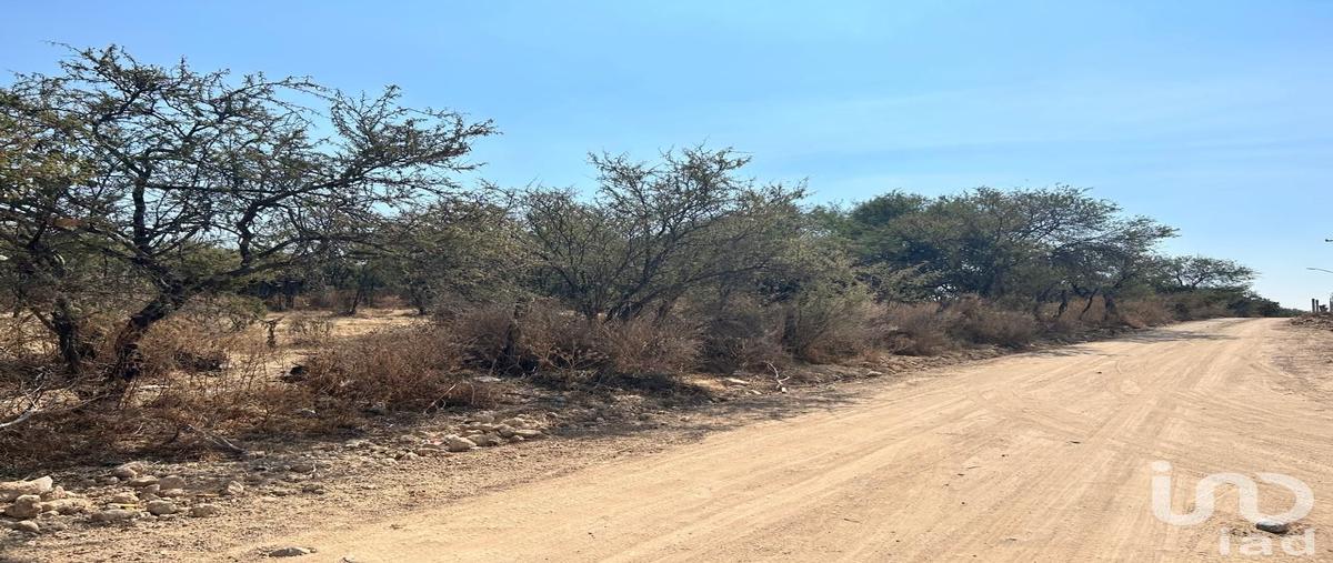 Foto de terreno habitacional en venta en camino rural , los tepetates, lagos de moreno, jalisco, 0 No. 03