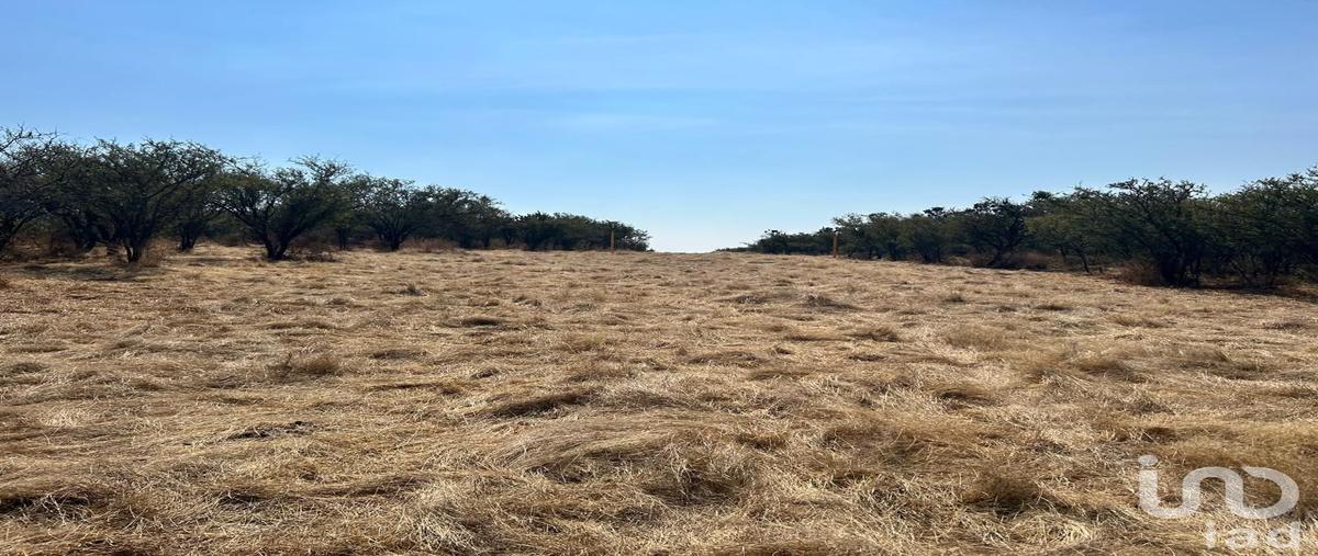 Foto de terreno habitacional en venta en camino rural , los tepetates, lagos de moreno, jalisco, 0 No. 04