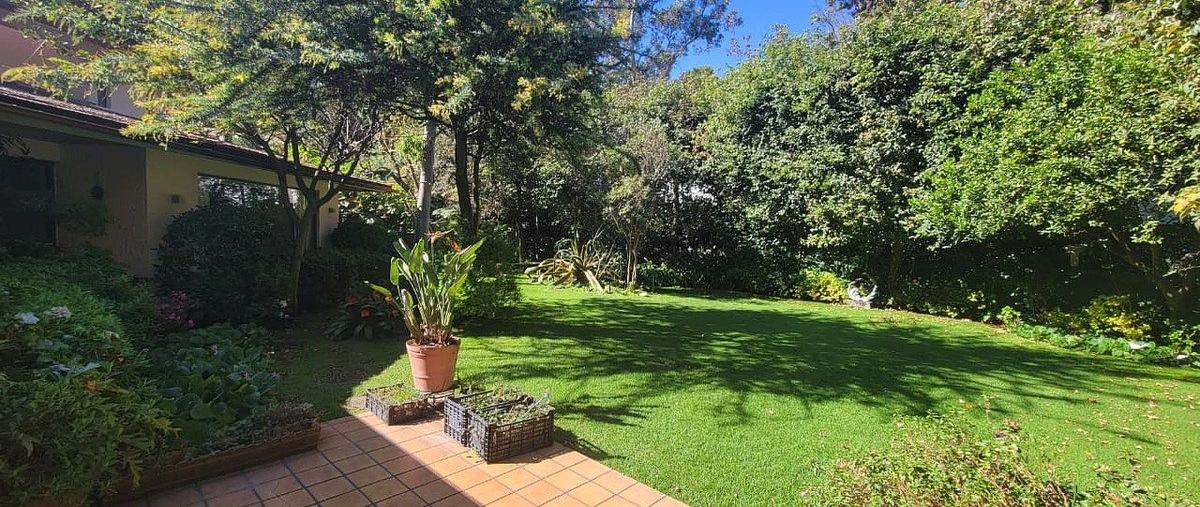 Foto de casa en camino santa teresa , parque nacional bosque del pedregal, tlalpan, df / cdmx, 31002339 foto 04 Foto de casa en venta en camino santa teresa , parque nacional bosque del pedregal, tlalpan, df / cdmx, 31002339 No. 04