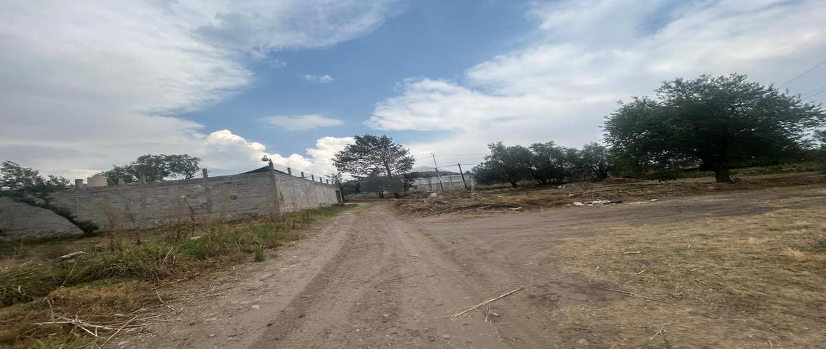 Foto de terreno habitacional en camino sin nombre 1, la purificación tepetitla, texcoco, méxico, 0 foto 04 Foto de terreno habitacional en venta en camino sin nombre 1, la purificación tepetitla, texcoco, méxico, 0 No. 04