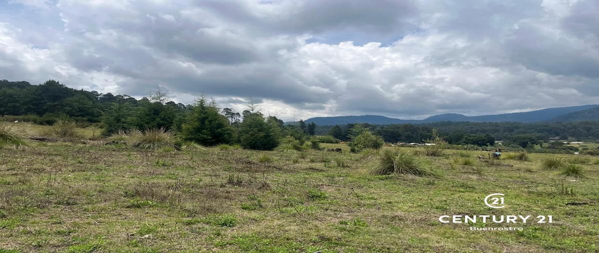 Foto de terreno habitacional en venta en camino sin nombre , atesquelites, valle de bravo, méxico, 0 No. 03