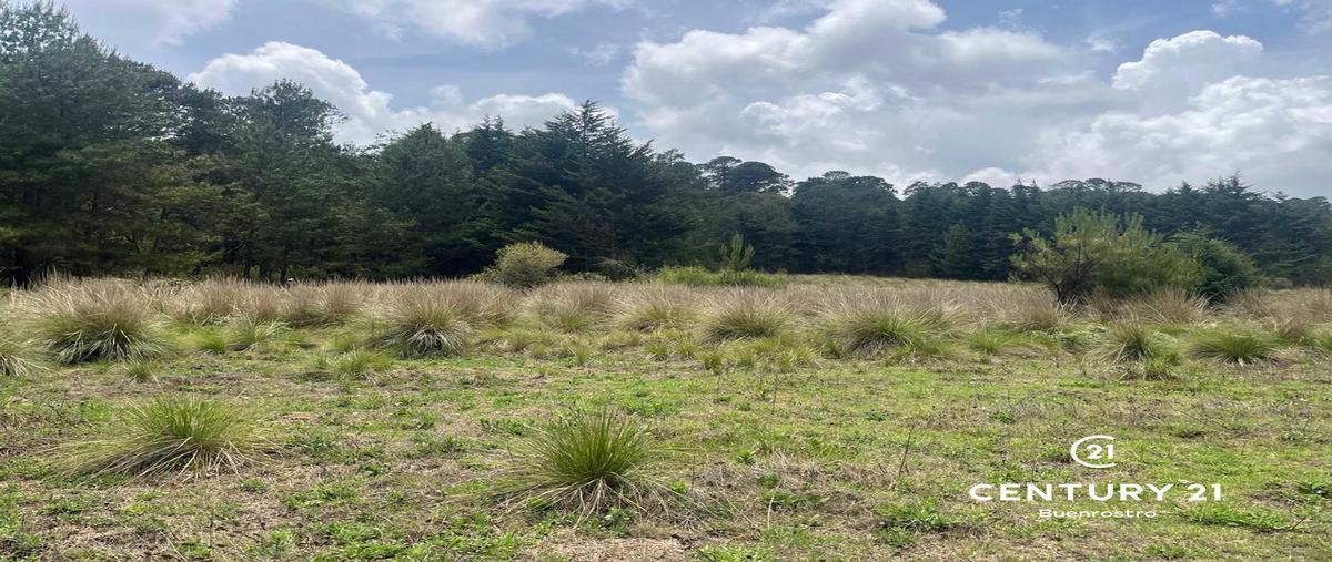 Foto de terreno habitacional en venta en camino sin nombre , atesquelites, valle de bravo, méxico, 0 No. 04