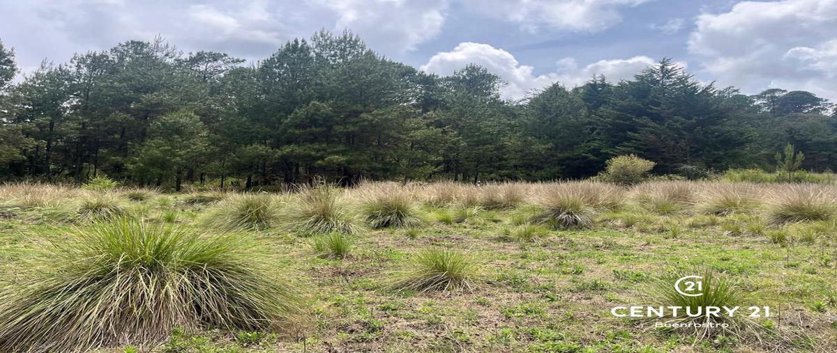 Foto de terreno habitacional en venta en camino sin nombre , atesquelites, valle de bravo, méxico, 0 No. 05