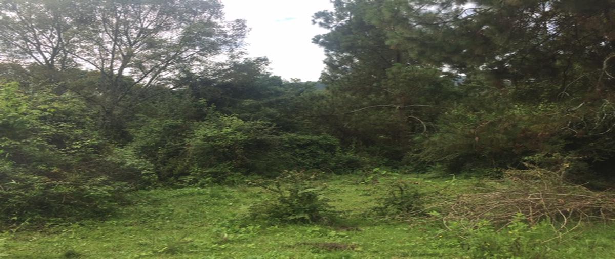 Foto de terreno habitacional en venta en camino sin nombre, el manzano , cerro gordo, valle de bravo, méxico, 8686639 No. 03