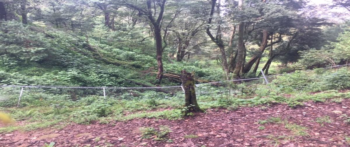 Foto de terreno habitacional en venta en camino sin nombre, el manzano , cerro gordo, valle de bravo, méxico, 8686639 No. 04