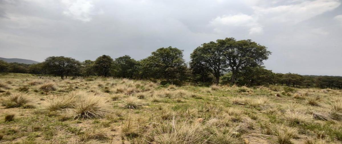 Foto de terreno habitacional en venta en camino sin nombre , la capilla, ayapango, méxico, 26765288 No. 03