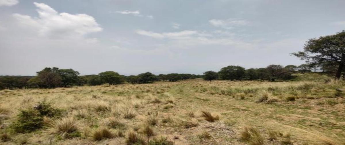 Foto de terreno habitacional en venta en camino sin nombre , la capilla, ayapango, méxico, 26765288 No. 04