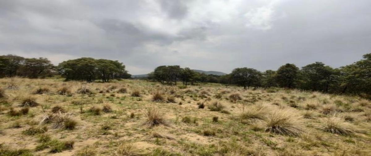 Foto de terreno habitacional en venta en camino sin nombre , la capilla, ayapango, méxico, 26765288 No. 05