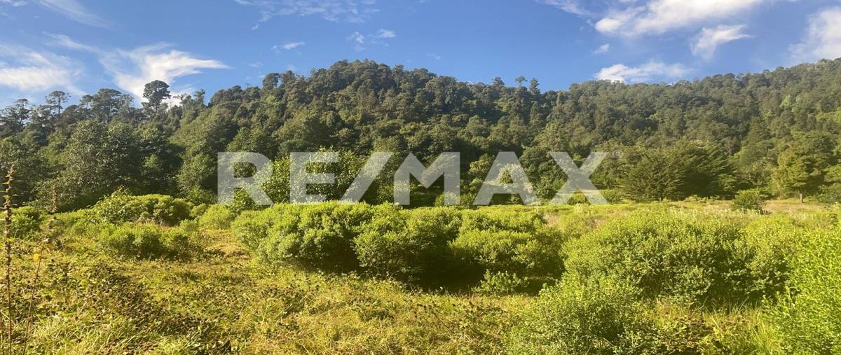 Foto de terreno habitacional en venta en camino sin nombre , los saúcos, valle de bravo, méxico, 0 No. 03
