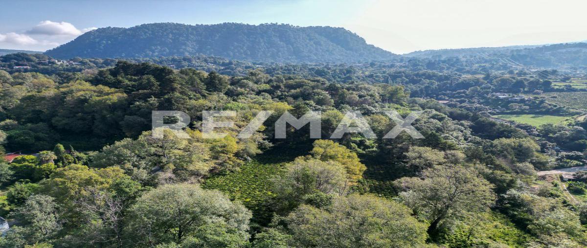 Foto de rancho en venta en camino sin nombre , pipioltepec, valle de bravo, méxico, 25514085 No. 05