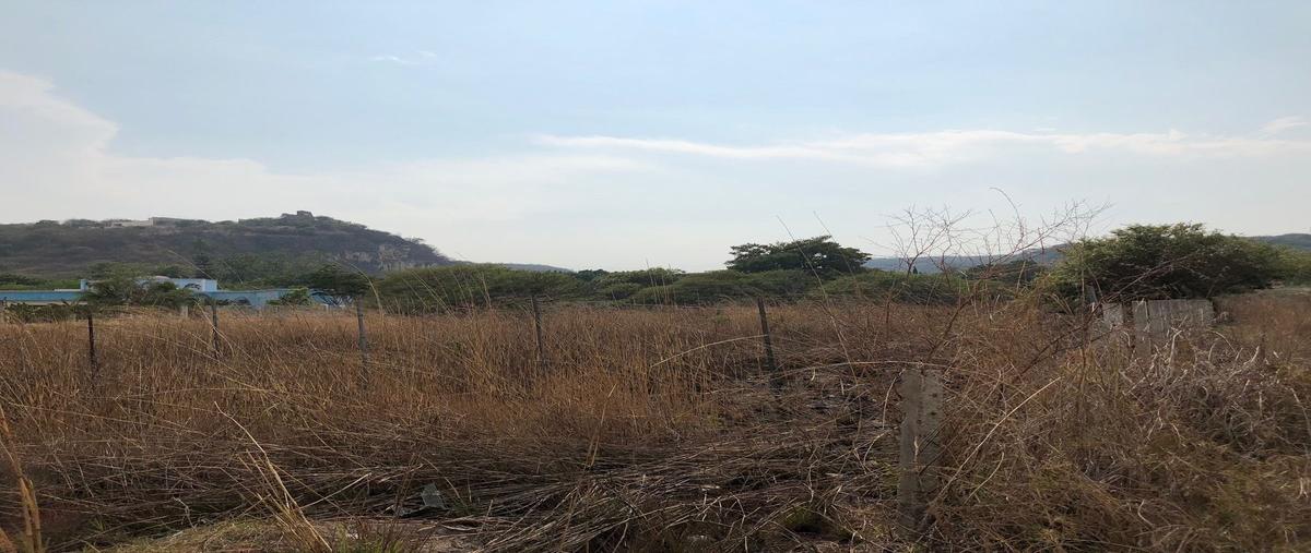 Foto de terreno habitacional en venta en camino sin nombre , plan de ayala, tuxtla gutiérrez, chiapas, 14496463 No. 04