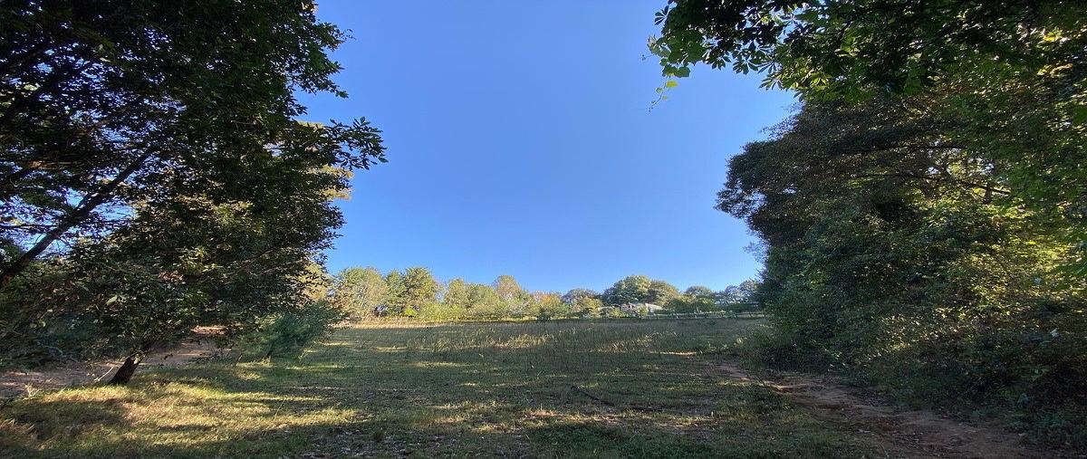 Foto de terreno habitacional en venta en camino sin nombre , san simón el alto, valle de bravo, méxico, 0 No. 03