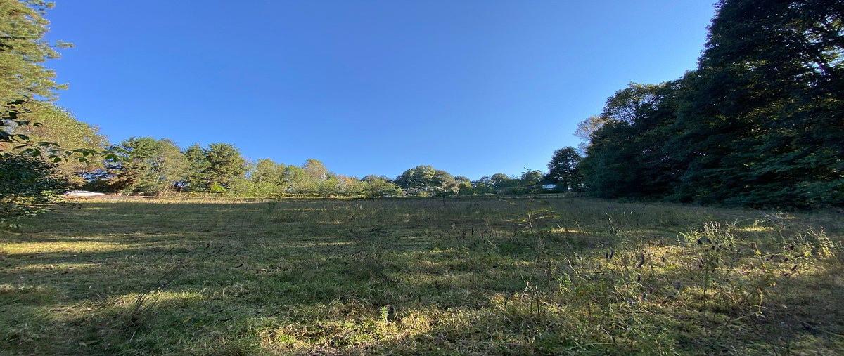 Foto de terreno habitacional en venta en camino sin nombre , san simón el alto, valle de bravo, méxico, 0 No. 04
