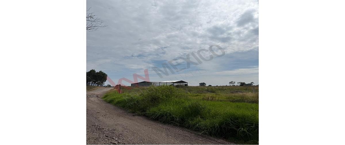 Foto de terreno habitacional en venta en camino sin número , san pablo huantepec, jilotepec, méxico, 30504861 No. 03