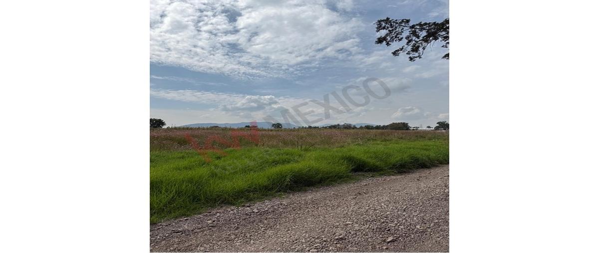 Foto de terreno habitacional en venta en camino sin número , san pablo huantepec, jilotepec, méxico, 30504861 No. 04