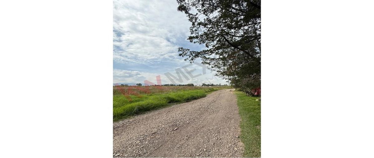 Foto de terreno habitacional en venta en camino sin número , san pablo huantepec, jilotepec, méxico, 30504861 No. 05