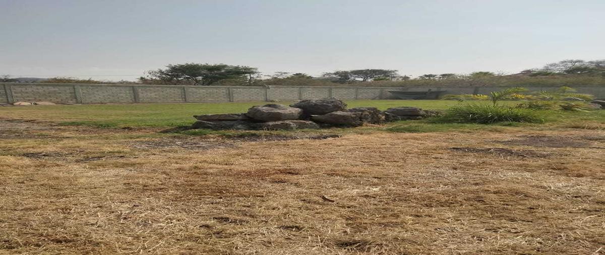 Foto de terreno habitacional en venta en camino tetecalitala quebrada km2calzada campestre , paseos de xochitepec, xochitepec, morelos, 0 No. 03