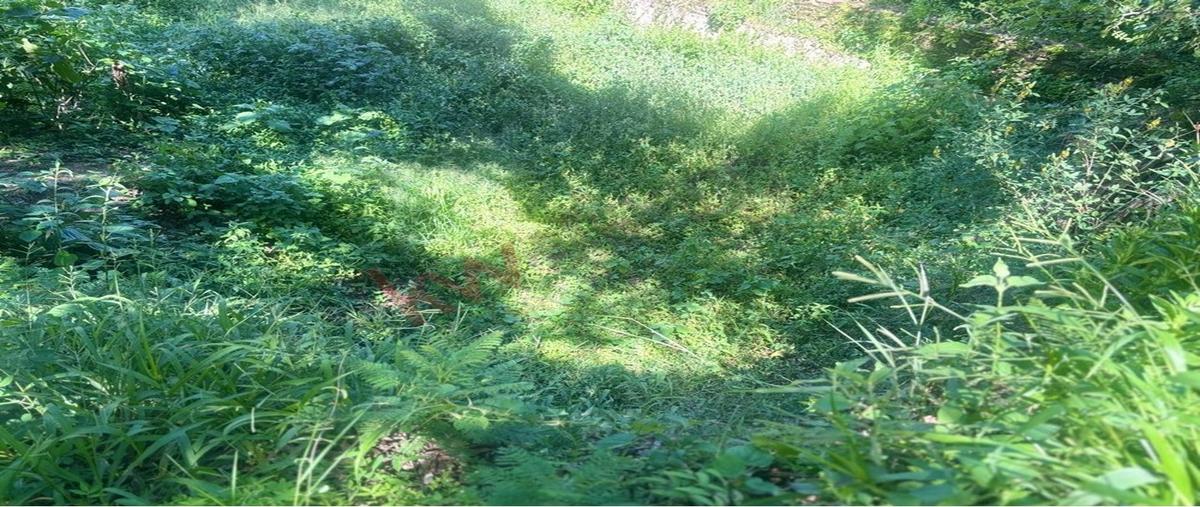 Foto de terreno habitacional en venta en camino tonatico - los amates , san miguel, tonatico, méxico, 0 No. 03