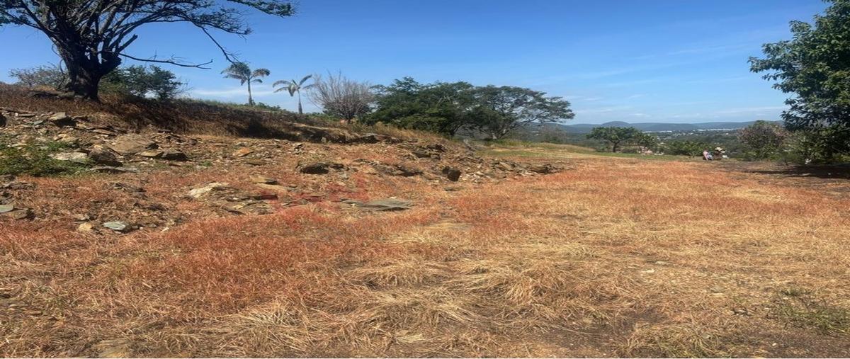 Foto de terreno habitacional en venta en camino tonatico - los amates , san miguel, tonatico, méxico, 0 No. 04