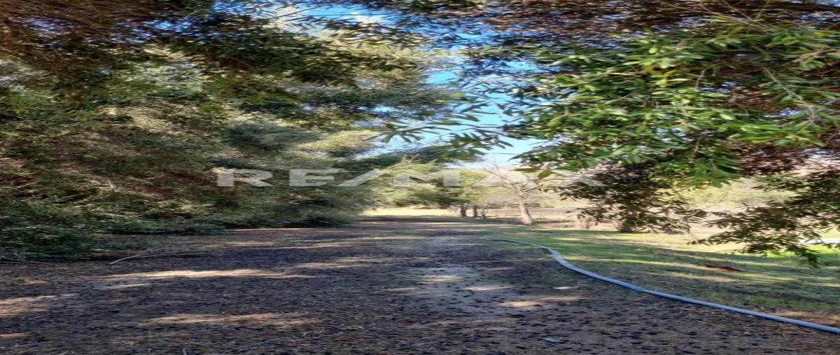 Foto de terreno comercial en camino vecinal 0, carretera tijuana-tecate delegacion presa este , margarita residencial, tijuana, baja california, 30254633 foto 01 Foto de terreno comercial en venta en camino vecinal 0, carretera tijuana-tecate delegacion presa este , margarita residencial, tijuana, baja california, 30254633 No. 01