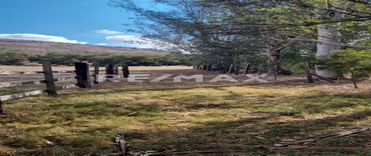 Foto de terreno comercial en camino vecinal 0, carretera tijuana-tecate delegacion presa este , margarita residencial, tijuana, baja california, 30254633 foto 02 Foto de terreno comercial en venta en camino vecinal 0, carretera tijuana-tecate delegacion presa este , margarita residencial, tijuana, baja california, 30254633 No. 02