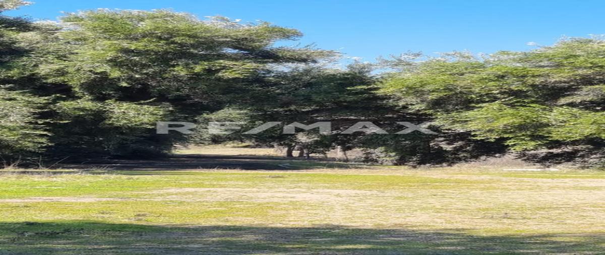 Foto de terreno comercial en camino vecinal 0, carretera tijuana-tecate delegacion presa este , margarita residencial, tijuana, baja california, 30254633 foto 03 Foto de terreno comercial en venta en camino vecinal 0, carretera tijuana-tecate delegacion presa este , margarita residencial, tijuana, baja california, 30254633 No. 03