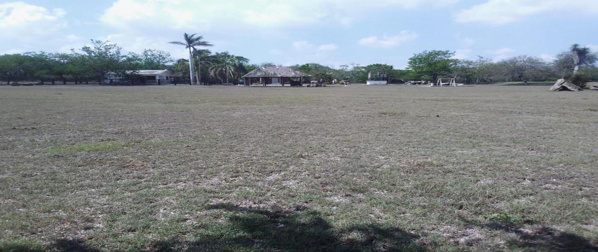 Foto de terreno comercial en camino vecinal a el chocolate , paseo real, altamira, tamaulipas, 29812801 foto 02 Foto de terreno comercial en venta en camino vecinal a el chocolate , paseo real, altamira, tamaulipas, 29812801 No. 02