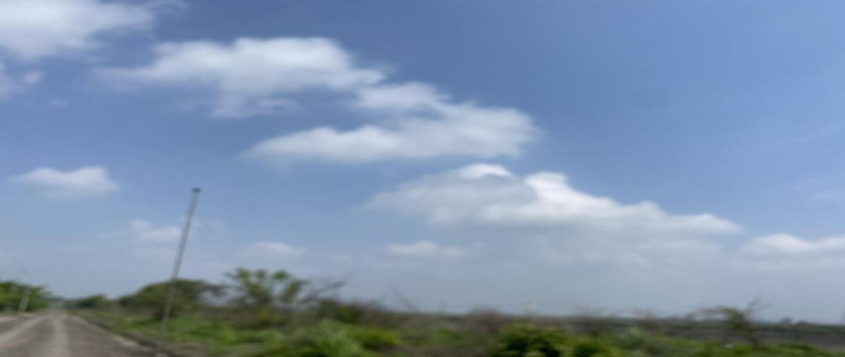 Foto de terreno comercial en camino vecinal a la aguadilla , santa amalia, altamira, tamaulipas, 0 foto 04 Foto de terreno comercial en venta en camino vecinal a la aguadilla , santa amalia, altamira, tamaulipas, 0 No. 04