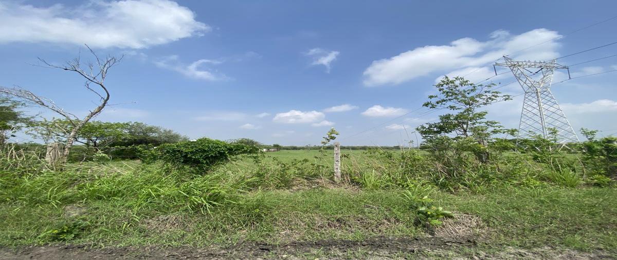 Foto de terreno comercial en camino vecinal a la aguadilla , santa amalia, altamira, tamaulipas, 0 foto 05 Foto de terreno comercial en venta en camino vecinal a la aguadilla , santa amalia, altamira, tamaulipas, 0 No. 05