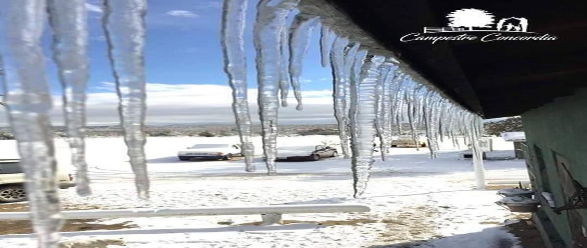 Foto de terreno habitacional en venta en camino vecinal el hongo-ojos negro , tecate centro, tecate, baja california, 0 No. 04