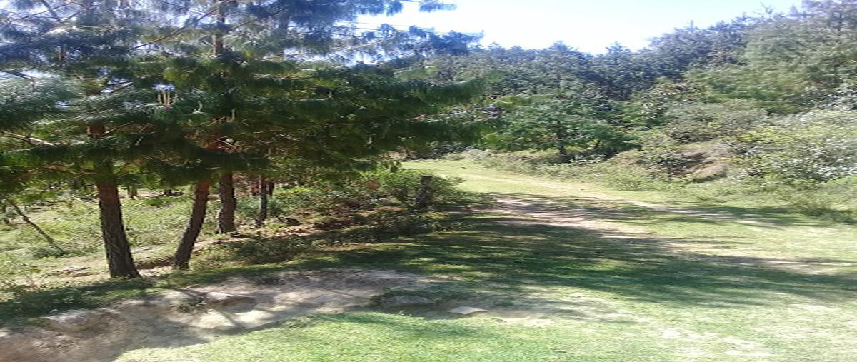 Foto de terreno comercial en venta en camino vecinal , jilotepec, zacapoaxtla, puebla, 6418277 No. 03