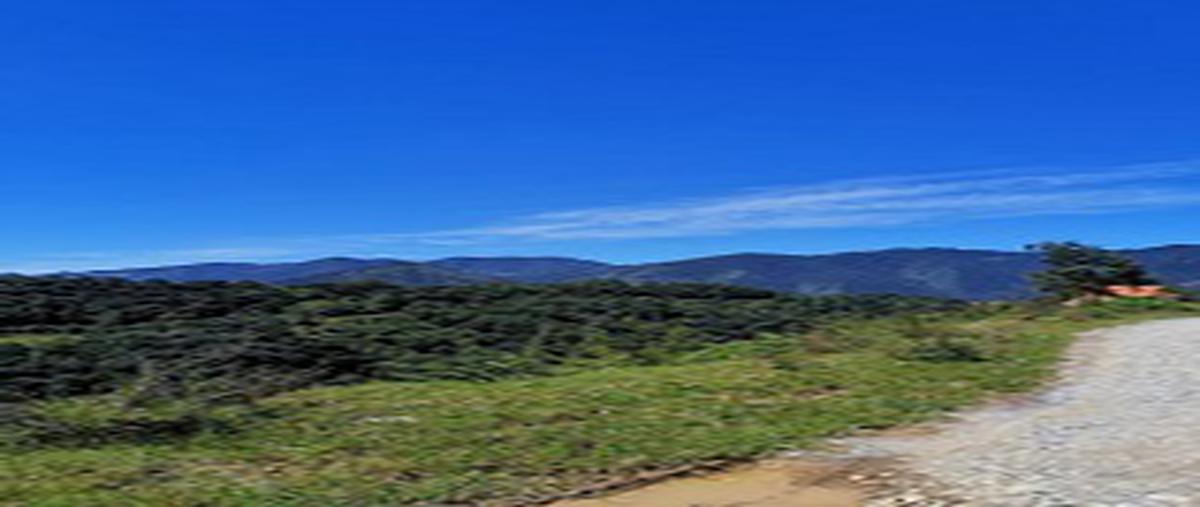 Foto de terreno comercial en venta en camino vecinal , jilotepec, zacapoaxtla, puebla, 6418277 No. 04