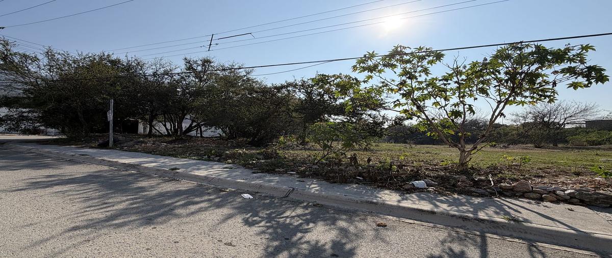 Foto de terreno habitacional en venta en camino vecinal los pingos , los cristales, monterrey, nuevo león, 0 No. 04