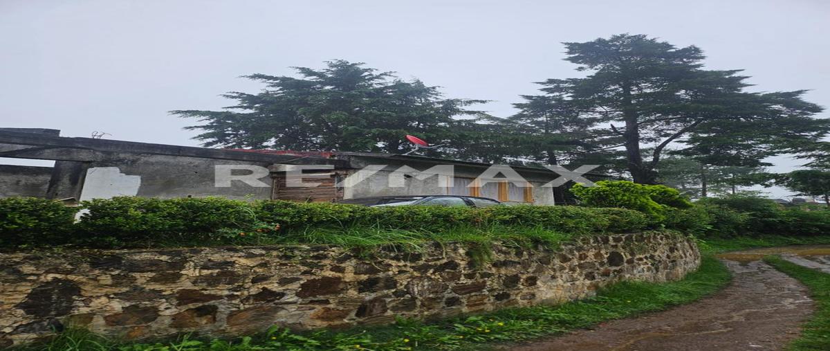 Foto de terreno habitacional en venta en camino vecinal , los reyes, acaxochitlán, hidalgo, 0 No. 03