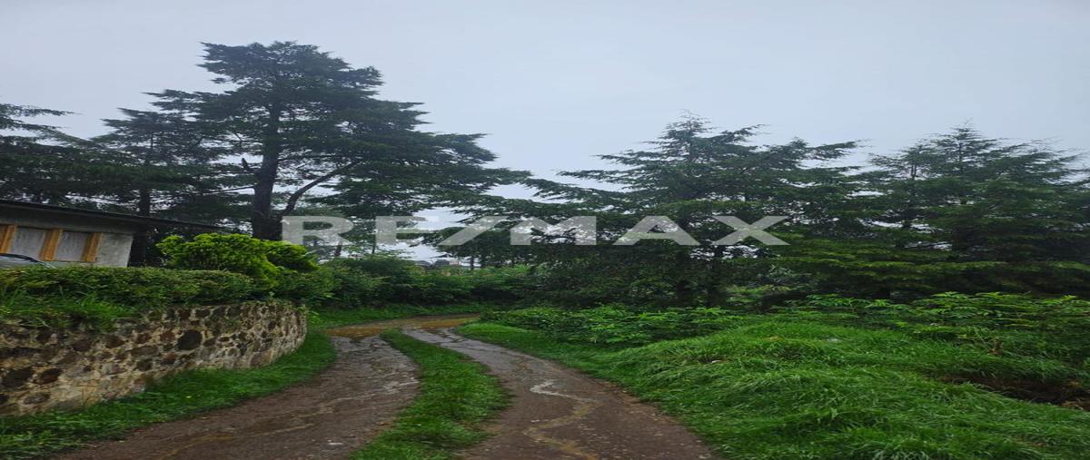 Foto de terreno habitacional en venta en camino vecinal , los reyes, acaxochitlán, hidalgo, 0 No. 04