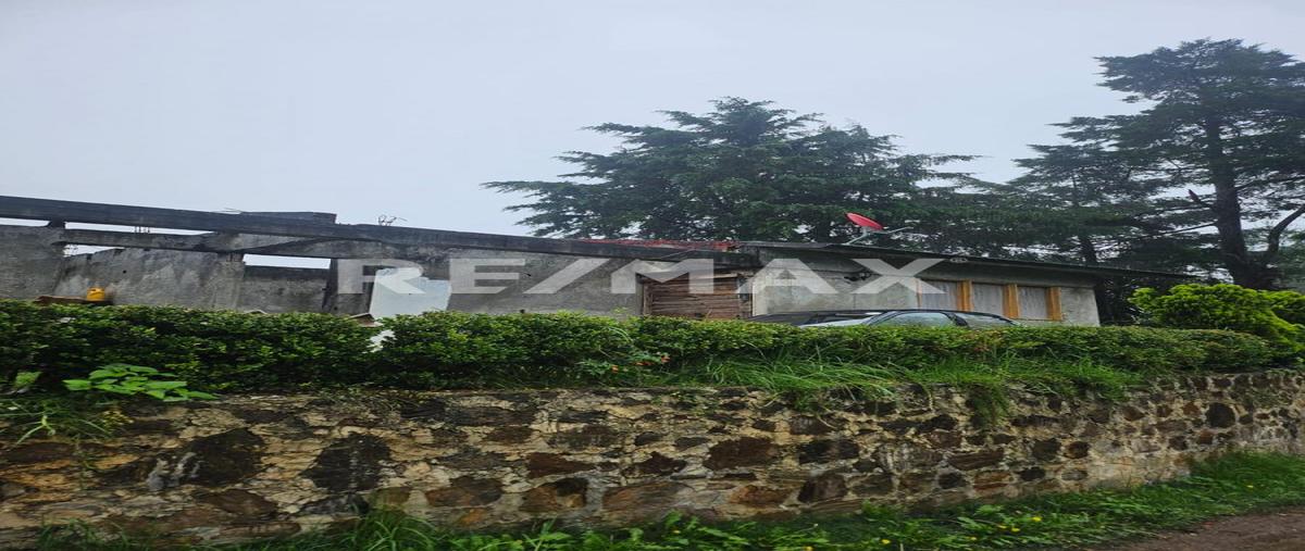 Foto de terreno habitacional en venta en camino vecinal , los reyes, acaxochitlán, hidalgo, 0 No. 05