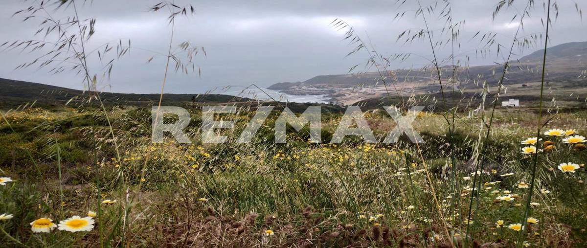Foto de terreno habitacional en camino vecinal, predio rustico puerto escondido , puerto escondido, ensenada, baja california, 0 foto 04 Foto de terreno habitacional en venta en camino vecinal, predio rustico puerto escondido , puerto escondido, ensenada, baja california, 0 No. 04