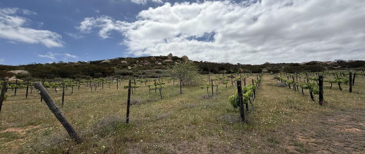 Foto de terreno habitacional en venta en camino vecinal , san antonio de las minas, ensenada, baja california, 0 No. 03