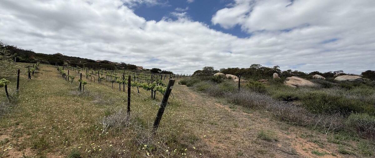 Foto de terreno habitacional en venta en camino vecinal , san antonio de las minas, ensenada, baja california, 0 No. 04