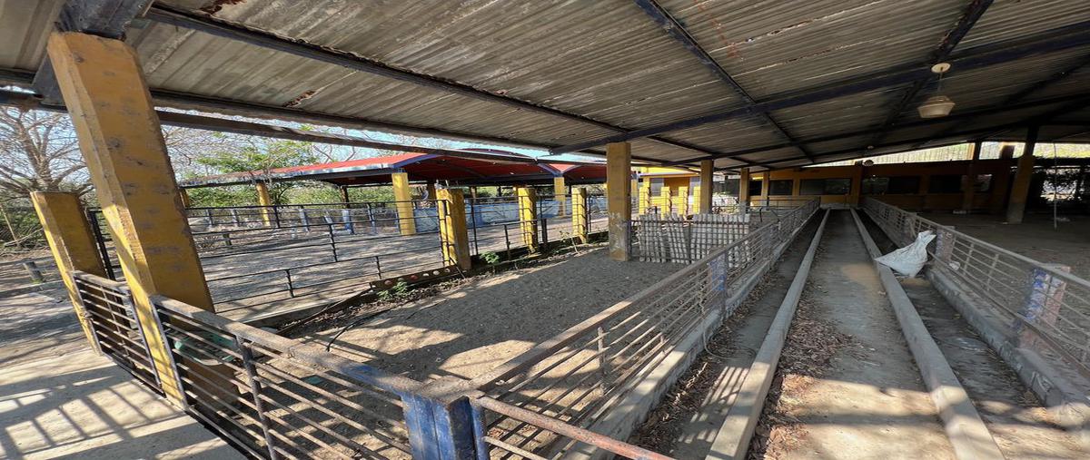 Foto de rancho en venta en camino viejo a la antigua , playa oriente, la antigua, veracruz de ignacio de la llave, 0 No. 04