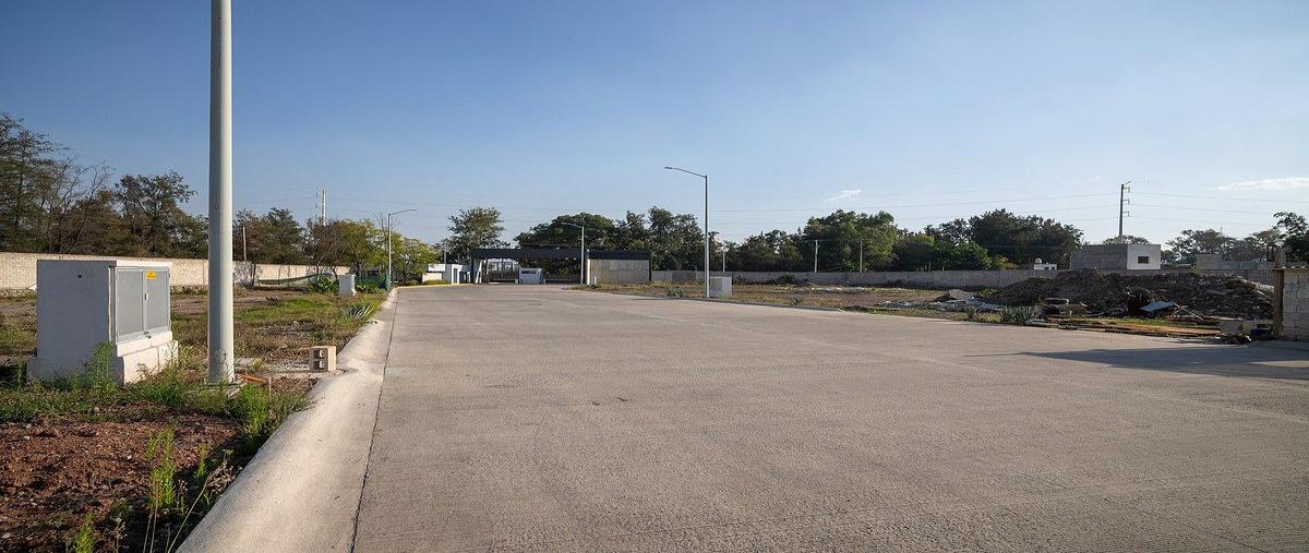 Foto de nave industrial en venta en camino viejo a los laureles , el zapote del valle, tlajomulco de zúñiga, jalisco, 29889936 No. 03