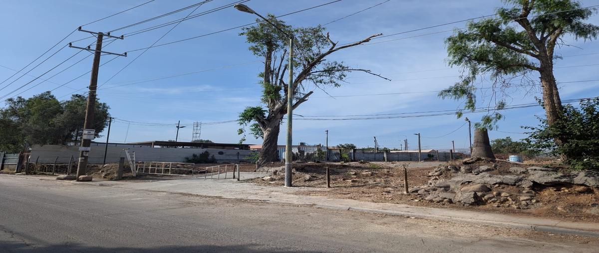 Foto de terreno comercial en camino viejo a tecate , río tijuana 3a etapa, tijuana, baja california, 0 foto 03 Foto de terreno comercial en renta en camino viejo a tecate , río tijuana 3a etapa, tijuana, baja california, 0 No. 03