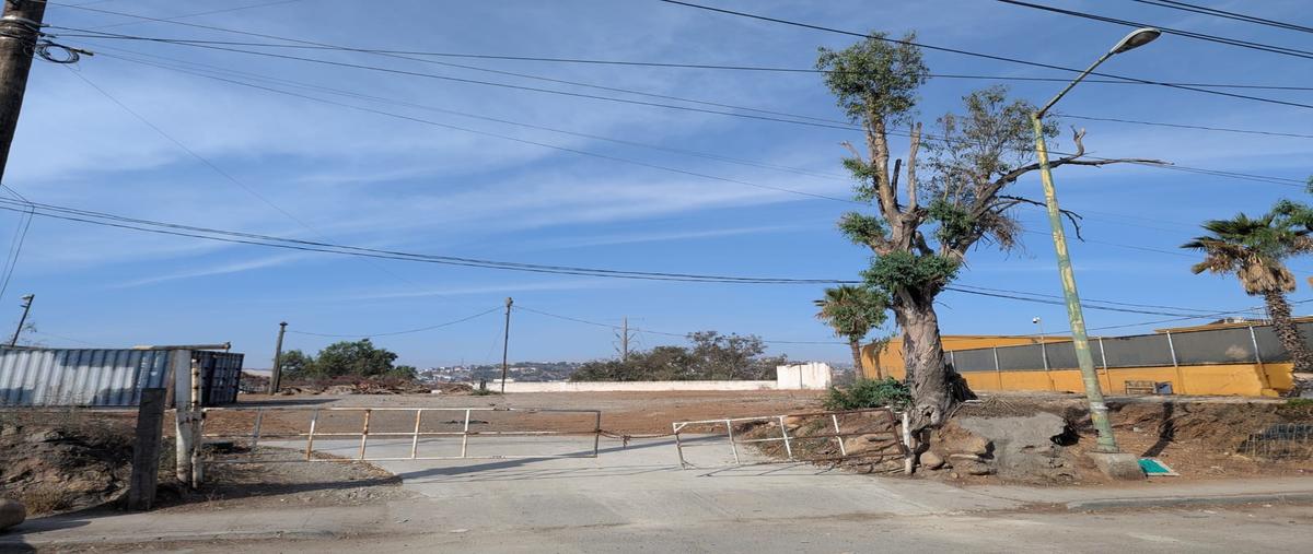 Foto de terreno comercial en camino viejo a tecate , río tijuana 3a etapa, tijuana, baja california, 0 foto 05 Foto de terreno comercial en renta en camino viejo a tecate , río tijuana 3a etapa, tijuana, baja california, 0 No. 05