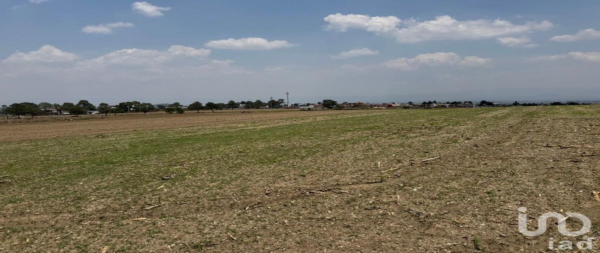 Foto de terreno habitacional en venta en camino viejo a zacango , santa marÃ­a nativitas, calimaya, mÃ©xico, 31509646 No. 05