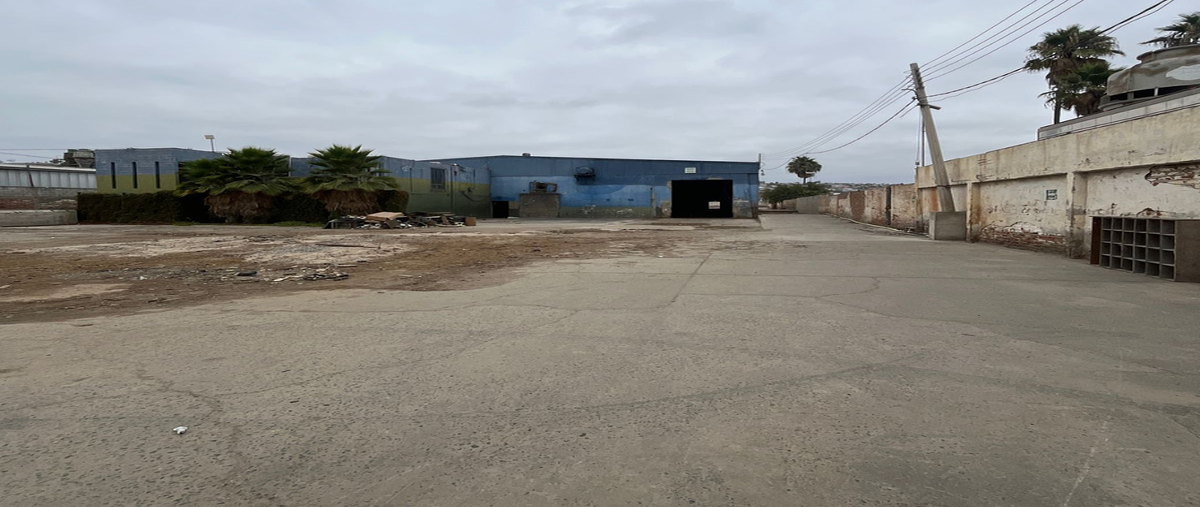 Foto de bodega en camino viejo al murua 1032centenario22456 tijuanab.c. , campestre murua, tijuana, baja california, 0 foto 04 Foto de bodega en venta en camino viejo al murua 1032centenario22456 tijuanab.c. , campestre murua, tijuana, baja california, 0 No. 04