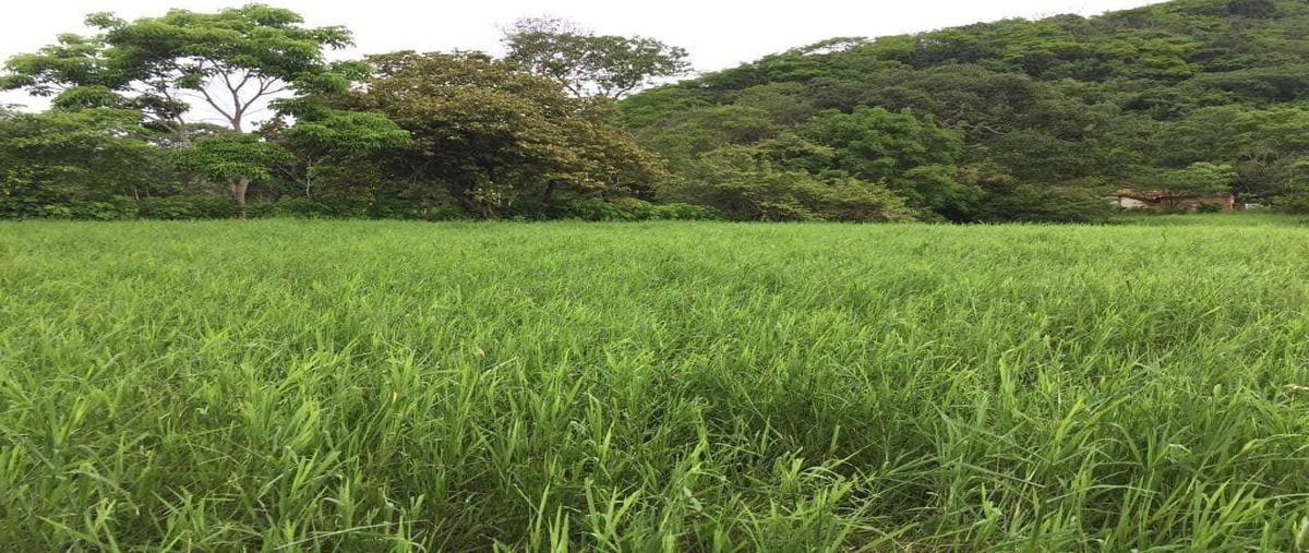 Foto de rancho en camino villa hidalgo , cuauhtémoc, villaflores, chiapas, 26735710 foto 01 Foto de rancho en venta en camino villa hidalgo , cuauhtémoc, villaflores, chiapas, 26735710 No. 01