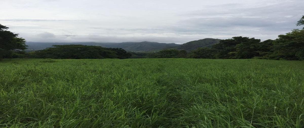Foto de rancho en camino villa hidalgo , cuauhtémoc, villaflores, chiapas, 26735710 foto 05 Foto de rancho en venta en camino villa hidalgo , cuauhtémoc, villaflores, chiapas, 26735710 No. 05